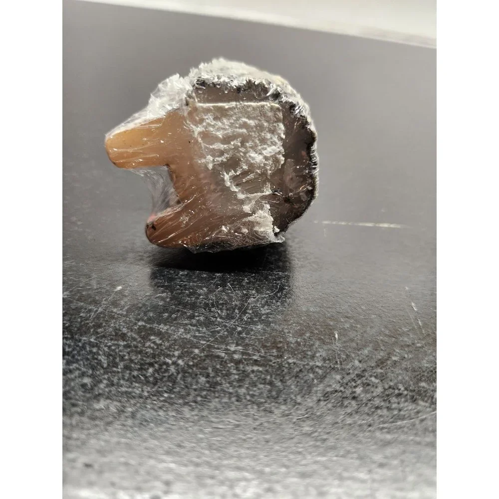 Little Armadillo Candle still shrink wrapped‎